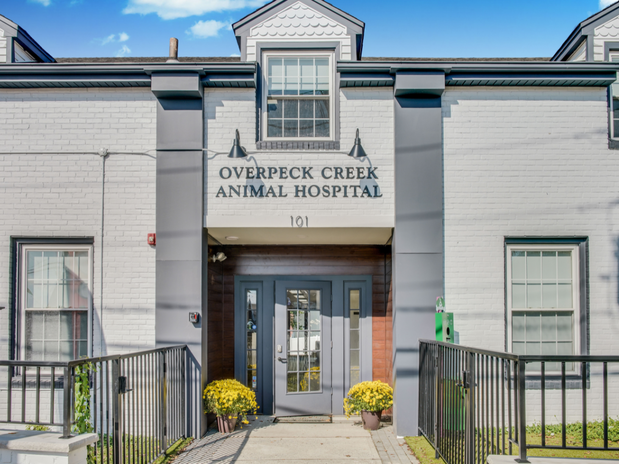 Images Overpeck Creek Animal Hospital