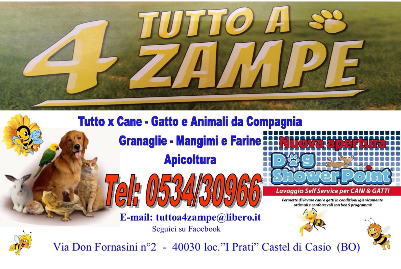 Images Tutto a 4 Zampe