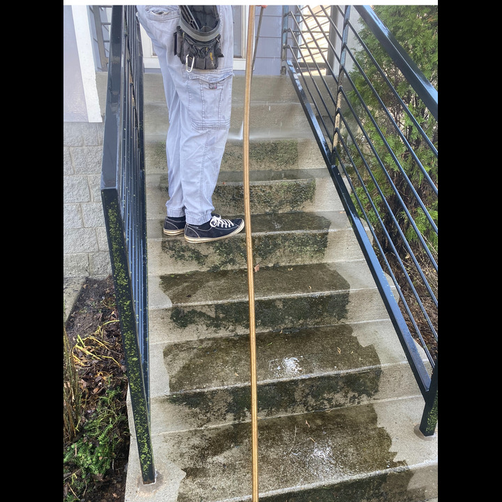 Images Pro Clean Window & Gutter Cleaning