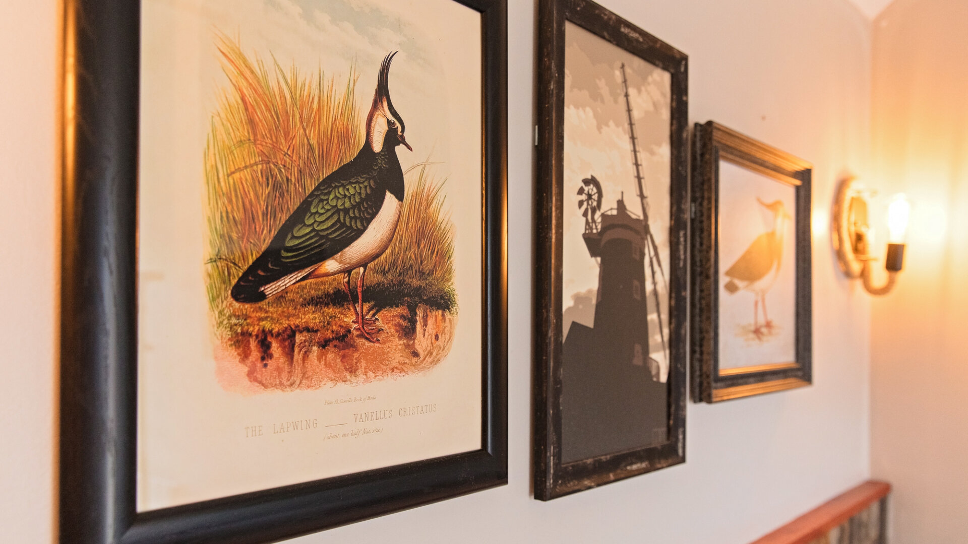 Gallery thumbnail