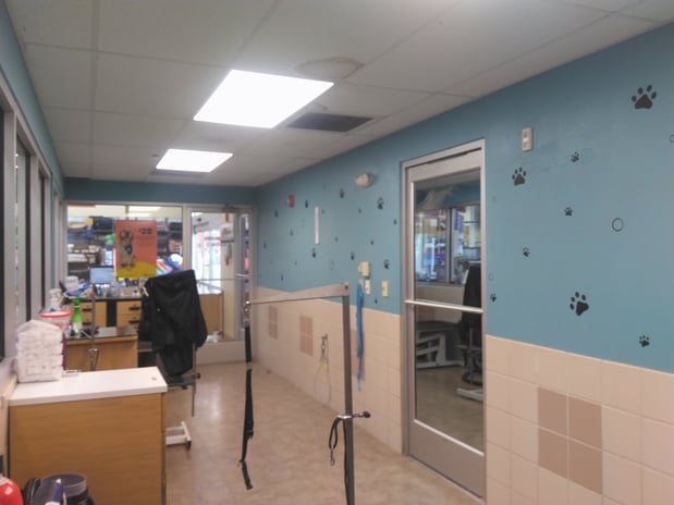 Images Petco Grooming