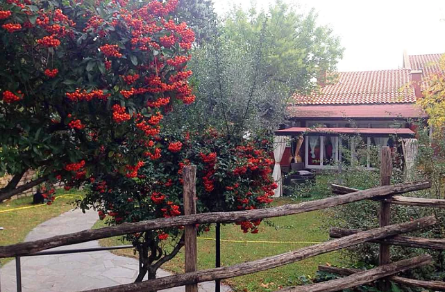 Images Casa di Riposo Terza Stella Residenza per Anziani