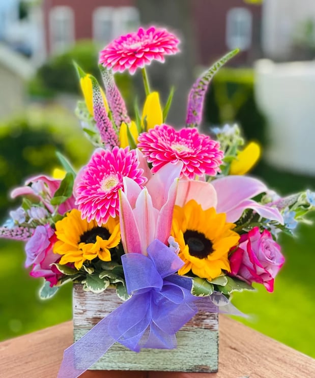 Images Weymouth Flowers