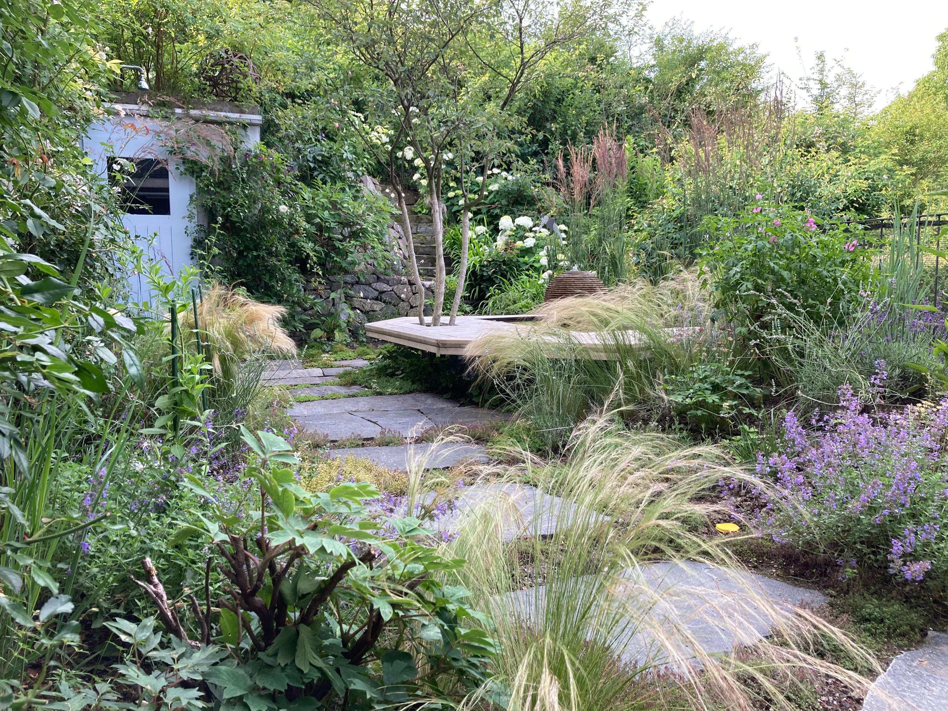 Bilder zehnder-garten GmbH