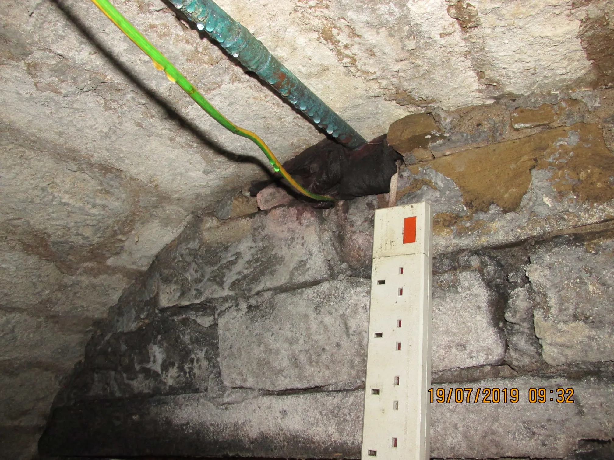 Images Damp Detectives
