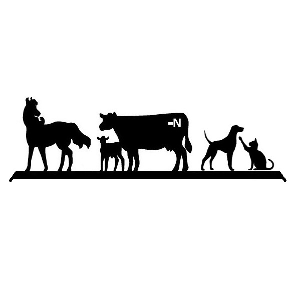 Bar N Veterinary Clinic, PC Logo