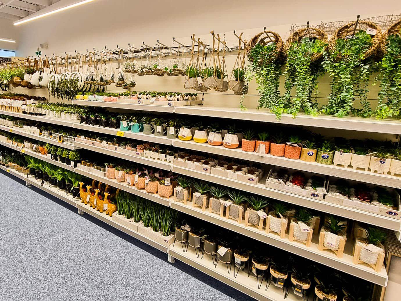 Images B&M Home Store with Garden Centre