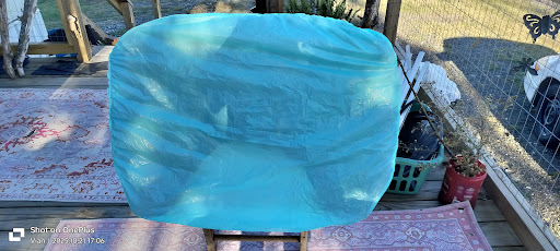 Images BobtailB1tchez