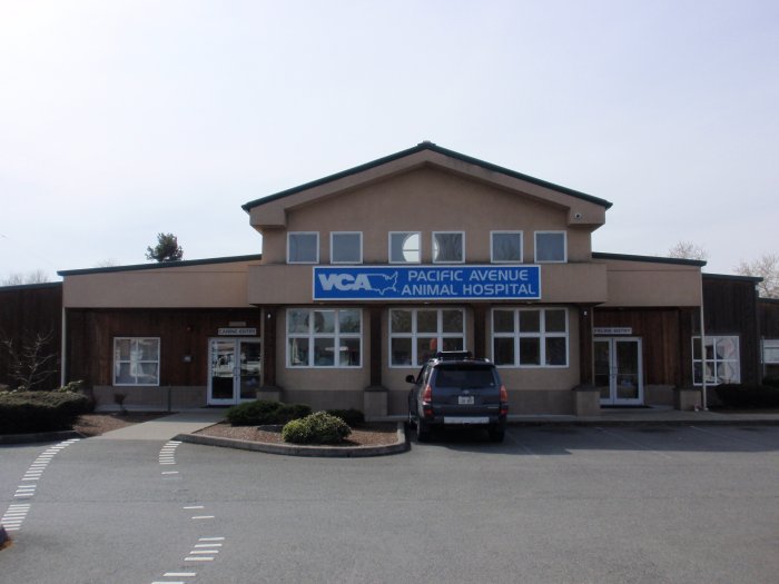 VCA Pacific Avenue Animal Hospital Tacoma (253)948-0740