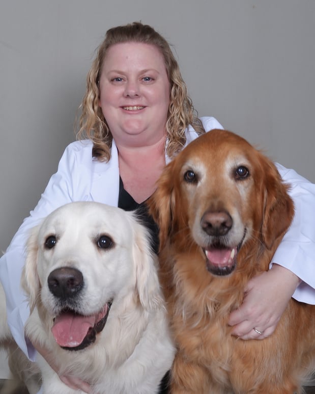 Images CityVet | Kingwood Veterinary Clinic & Urgent Care