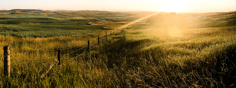 Beautiful rolling hills in the sun.