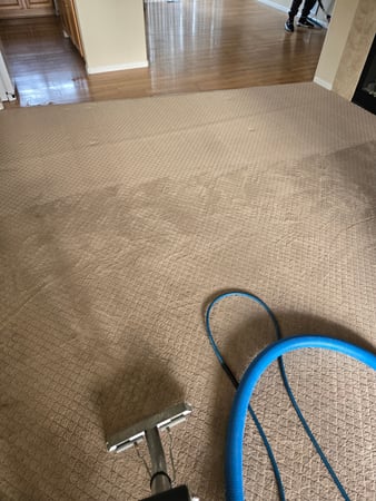 Images Voda Cleaning & Restoration