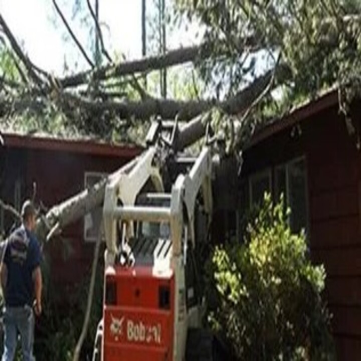 Images Childress Complete Tree Service