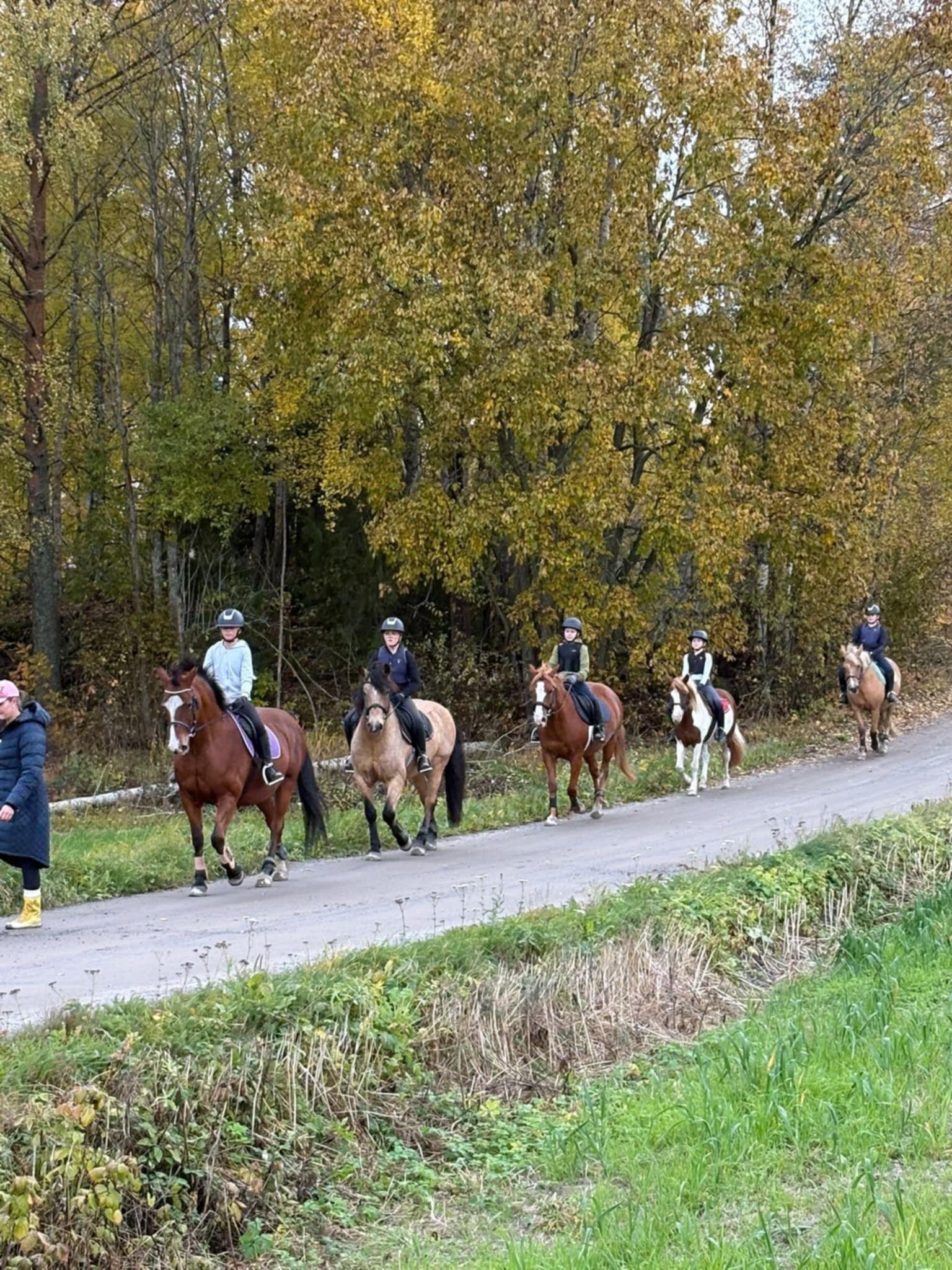 Images Relanderin Ponitalli