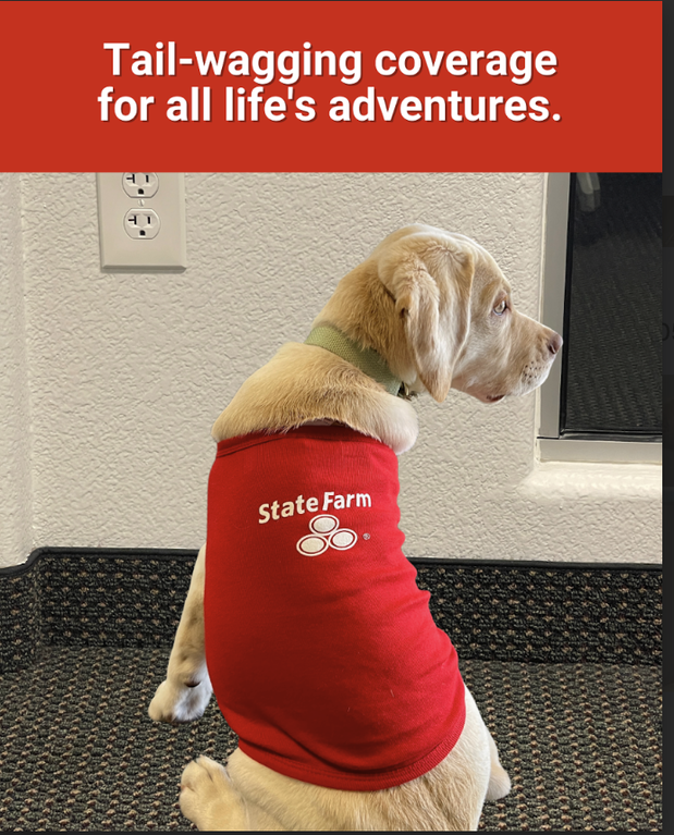 Images Lidia Mazun - State Farm Insurance Agent
