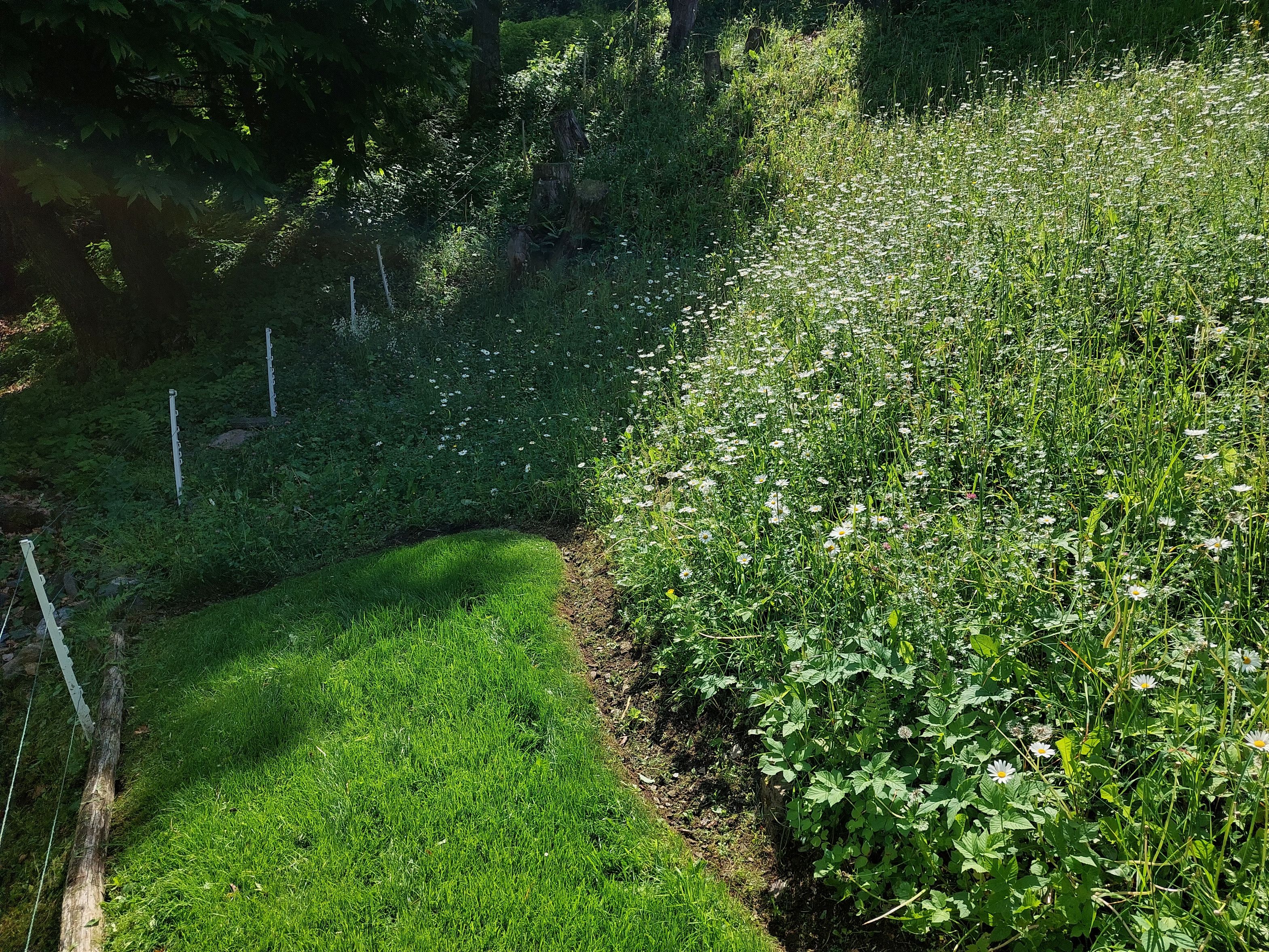 Bilder Giardiniere Hagmann Di Carlo e Pichierri SAGL