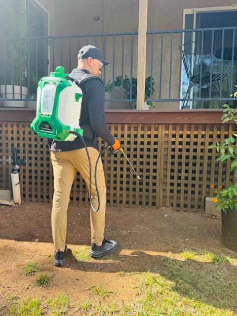 Images Gingerly Pest Control