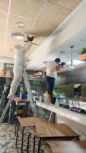 Images Pintores Isoana