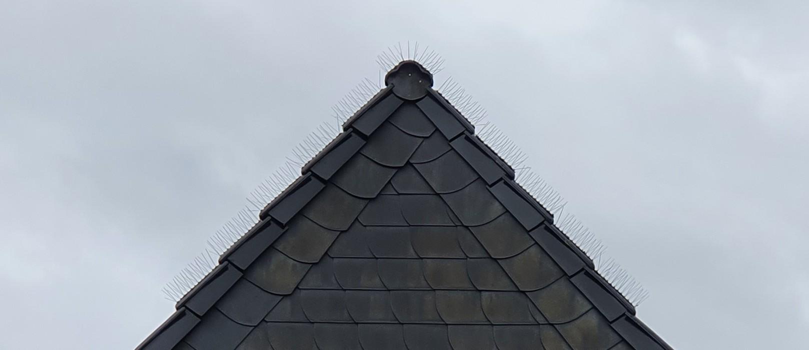 VONPRO Dach & Solar, Bahnhofstraße 130 in Bonn