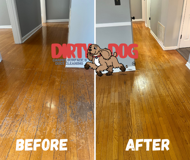 Images Dirty Dog Carpet, Surface and Duct Cleaning