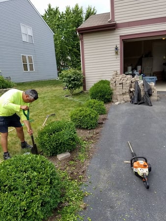 Images Landscaping And More LLC