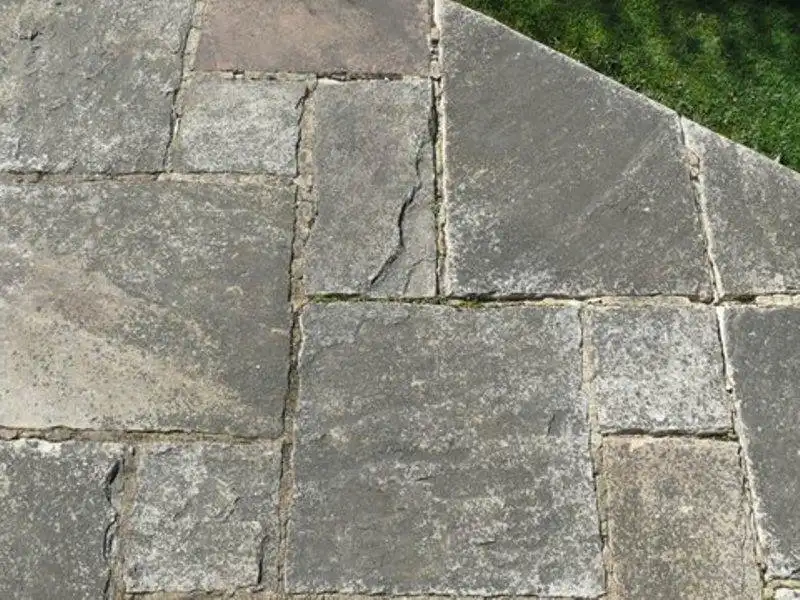 Images The Patio Black Spot Removal Co.Ltd