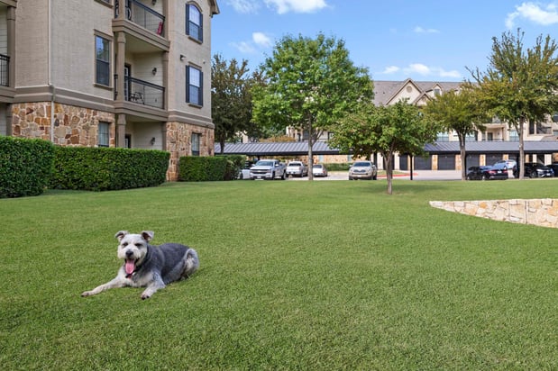 Images Camden Riverwalk Apartments