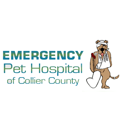 Emergency Pet Hospital Of Collier County - Naples, FL 34105 - (239)263-8010 | ShowMeLocal.com