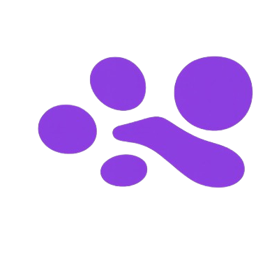 Clariona informatique (logiciel et progiciel)