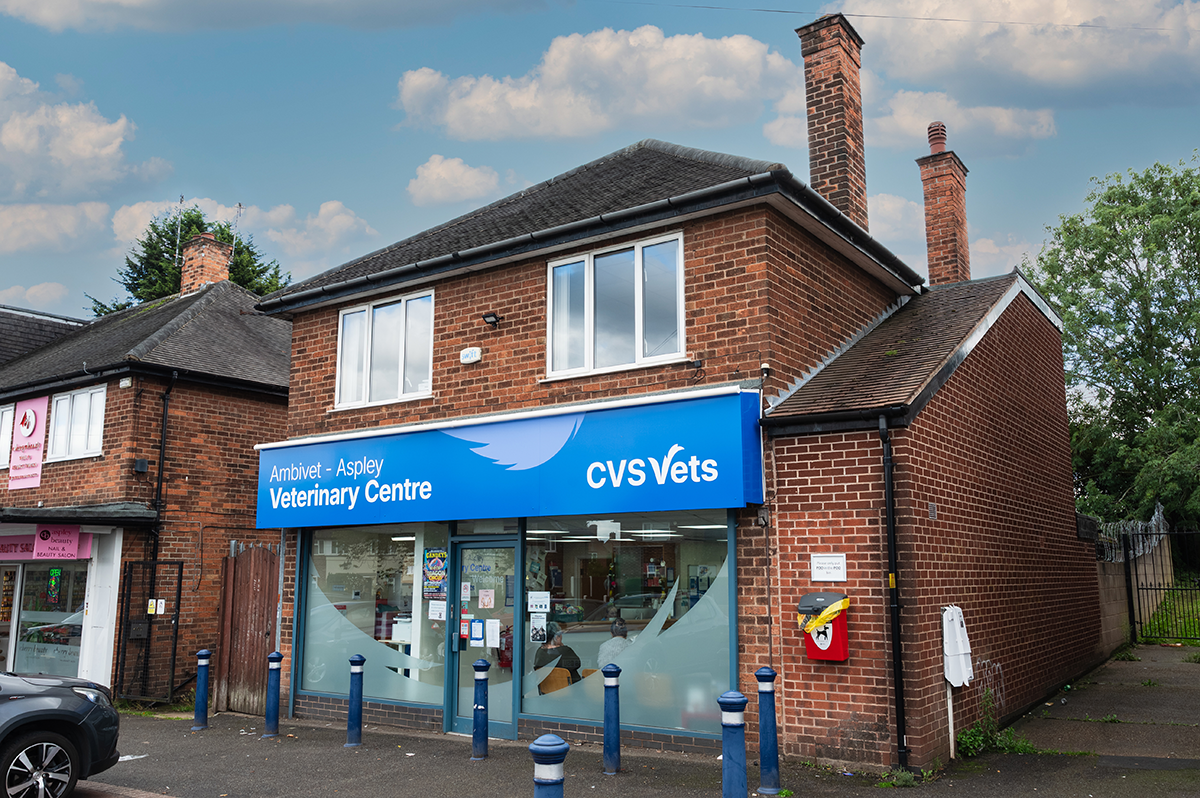 Ambivet Veterinary Centre - Aspley