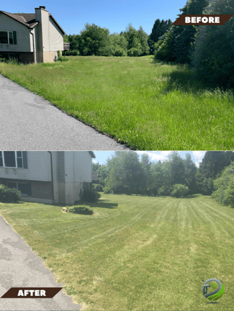 Images Marian's Grass Cutting Services