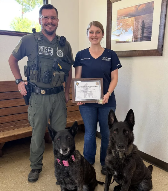 Images Chaparral Veterinary Center, P.C.