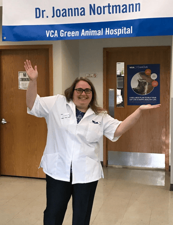 Images VCA Green Animal Hospital