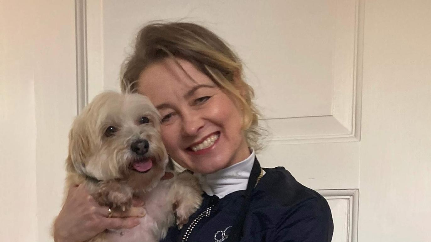 Images Vibes Lille Hundesalon