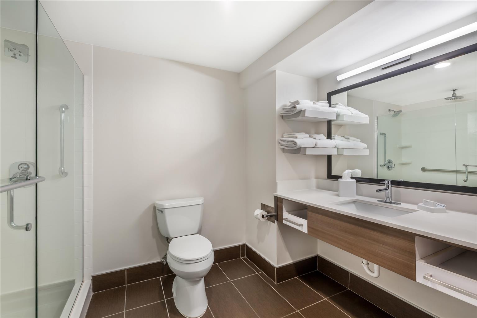 Guest room bath 