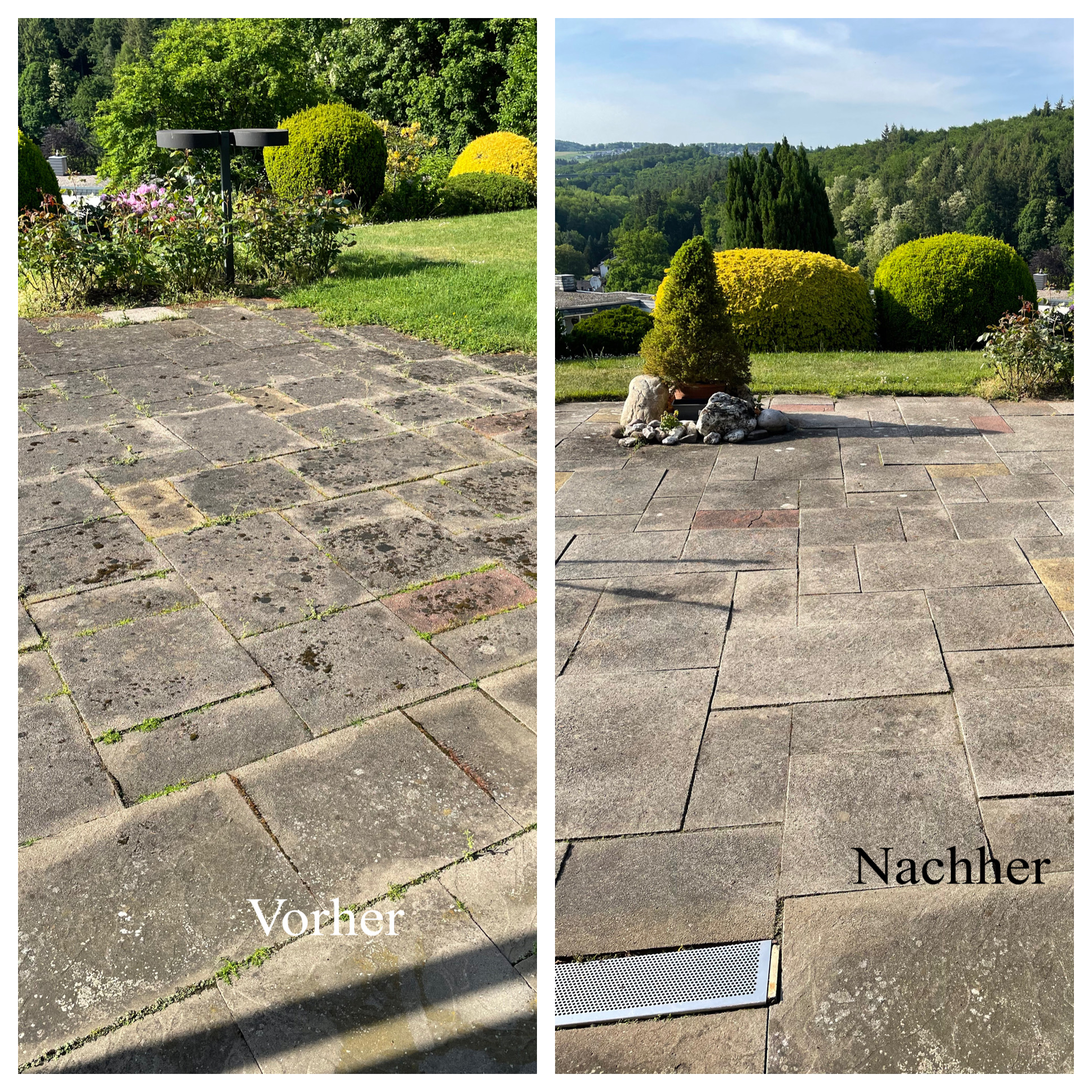 Baum- & Gartenpflege Loose in Melsbach