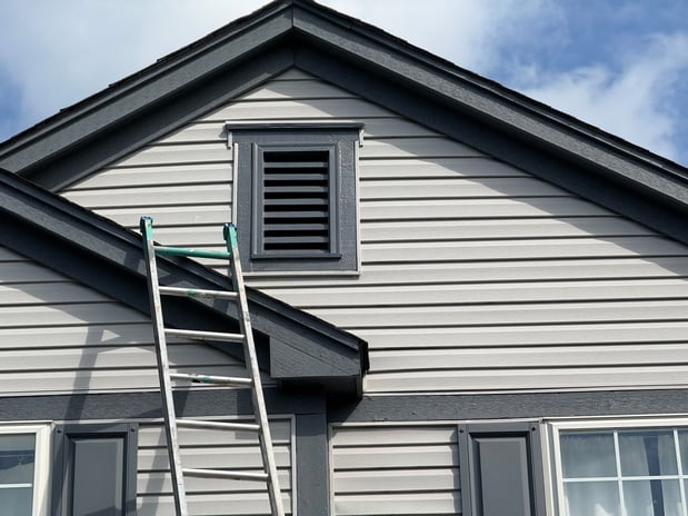 Images Sunflower Painting
