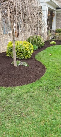 Images Bluestone Earthworks
