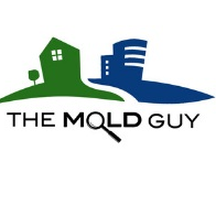 The Mold Guy