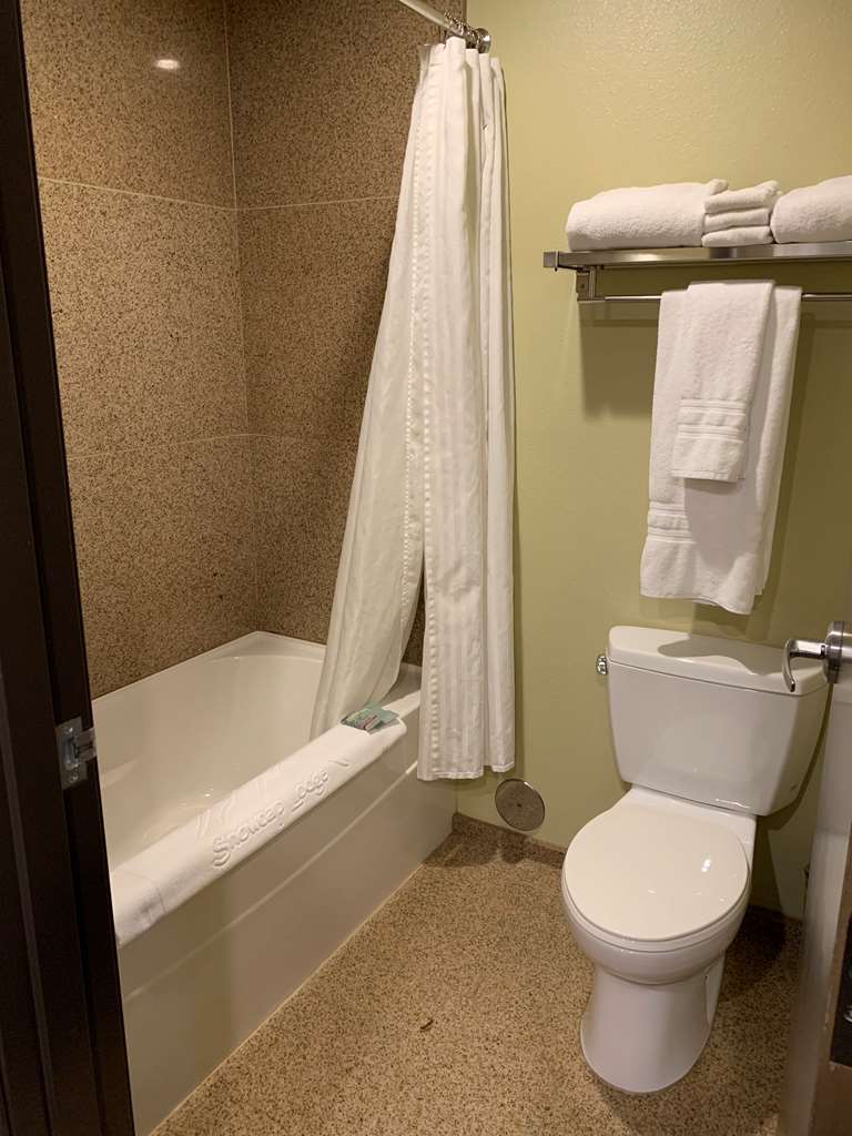 Guest Bathroom 