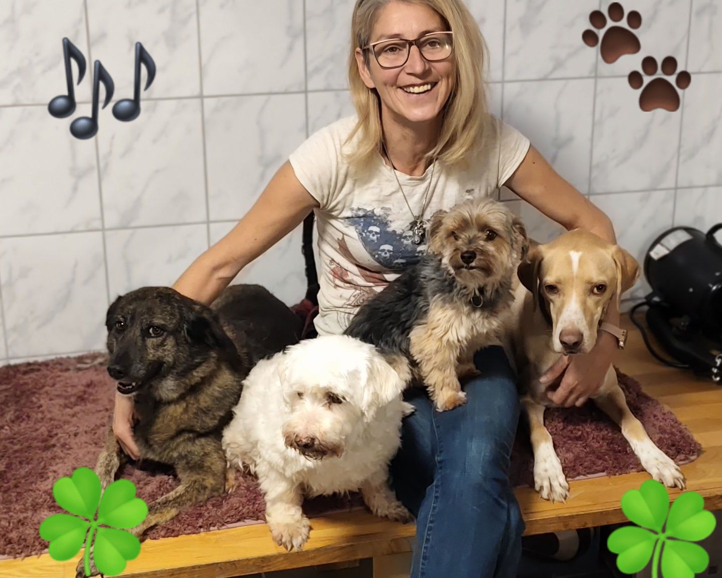 Bild 7 von Funny Crazy Dogs - Hundesalon