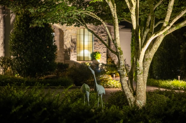 Images Limelight Landscape Lighting