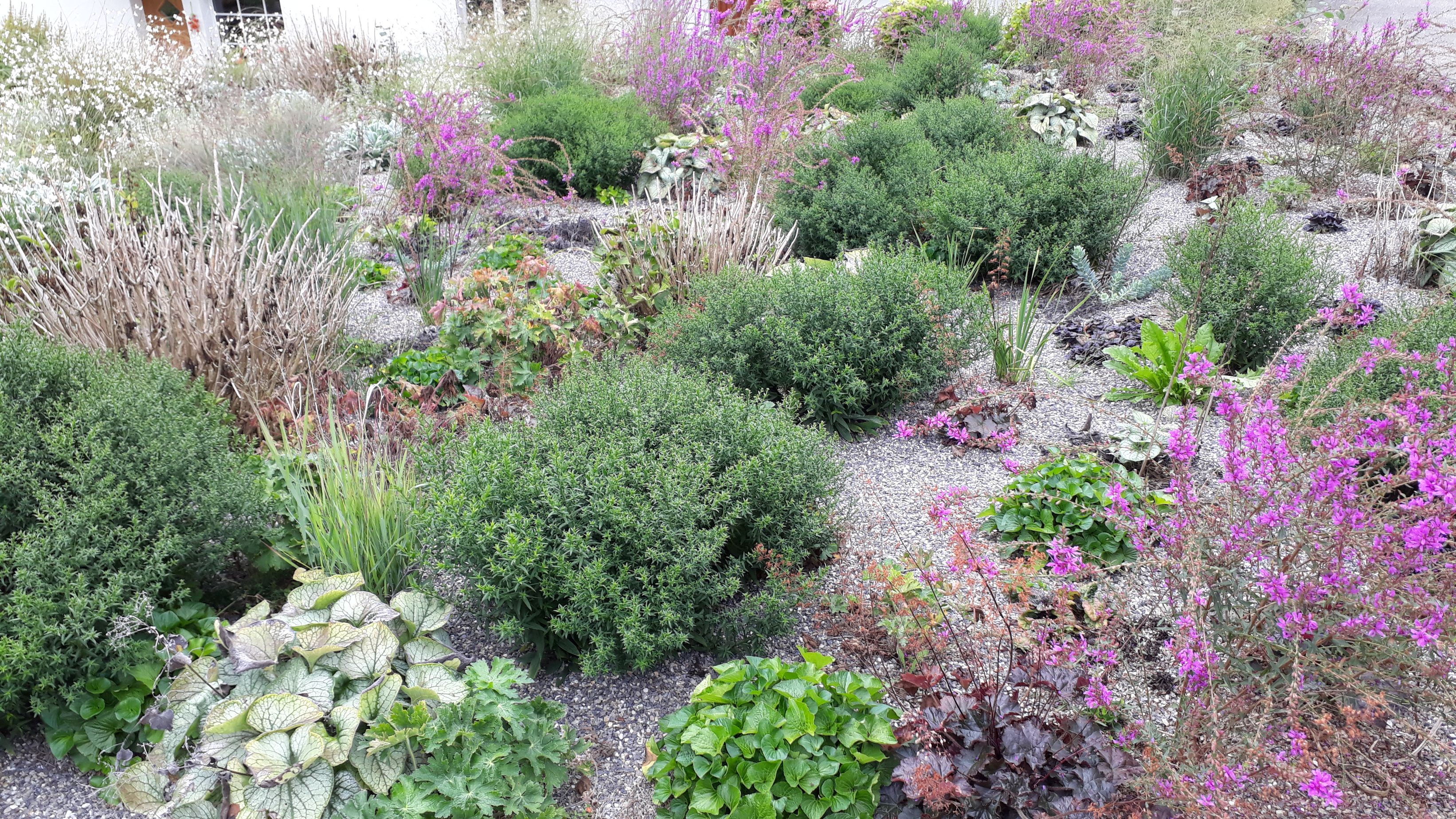 Bilder Signer Gartenpflege
