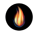 company logo