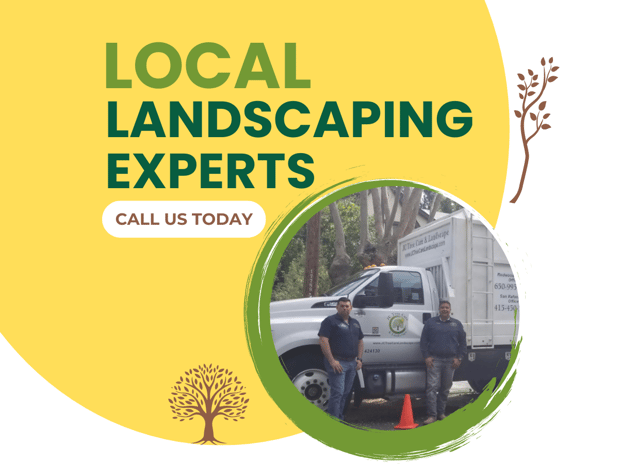 Images JC Tree Care & Landscape