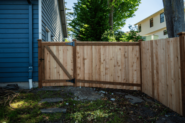 Images Rare Bears Fencing