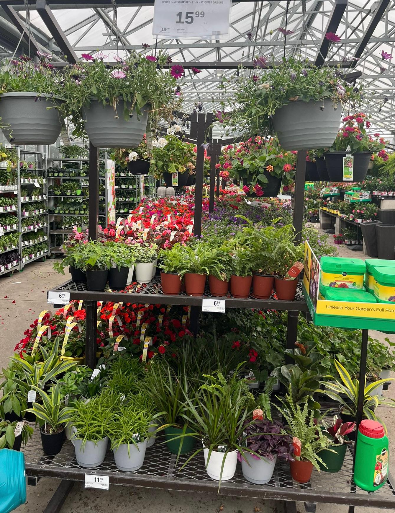Images Garden Centre at Rona+