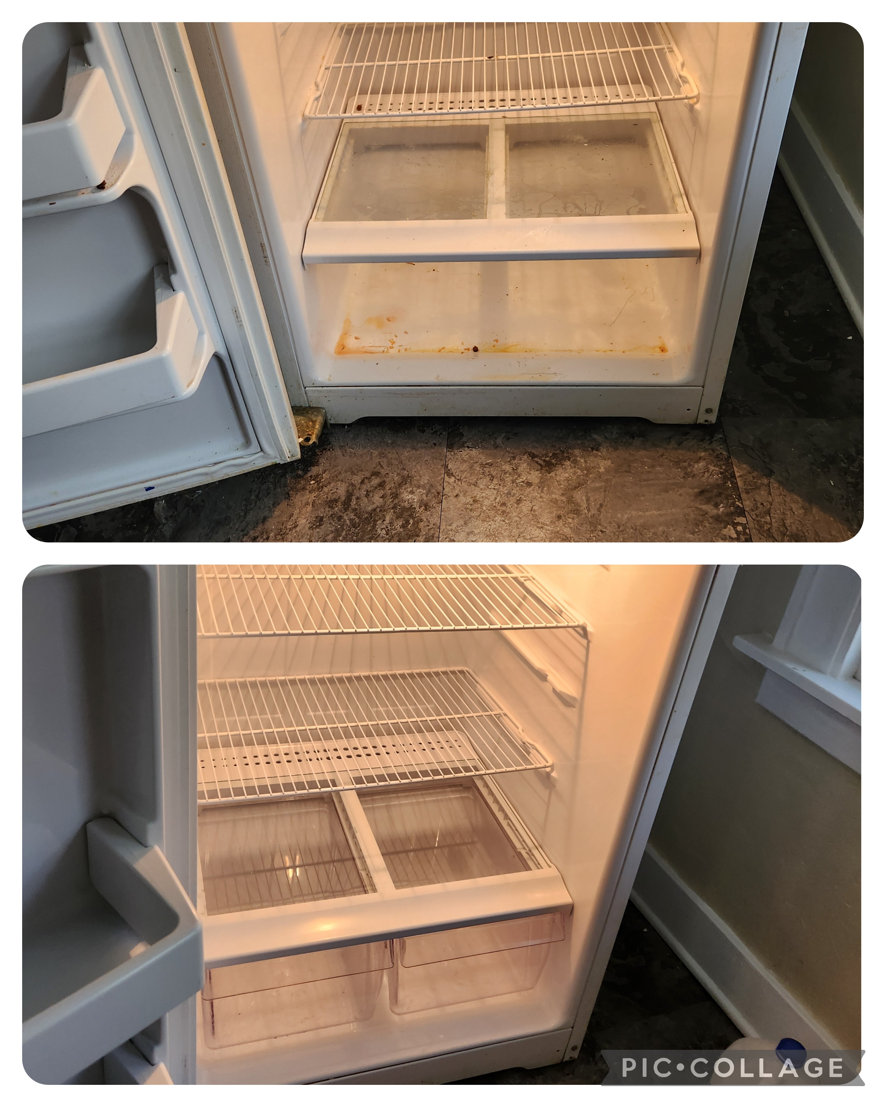 Bella Shine Cleaning Services LLC Image