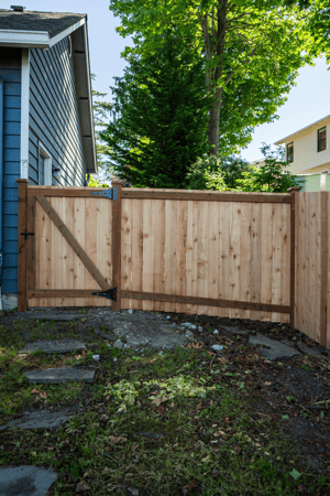 Images Rare Bears Fencing