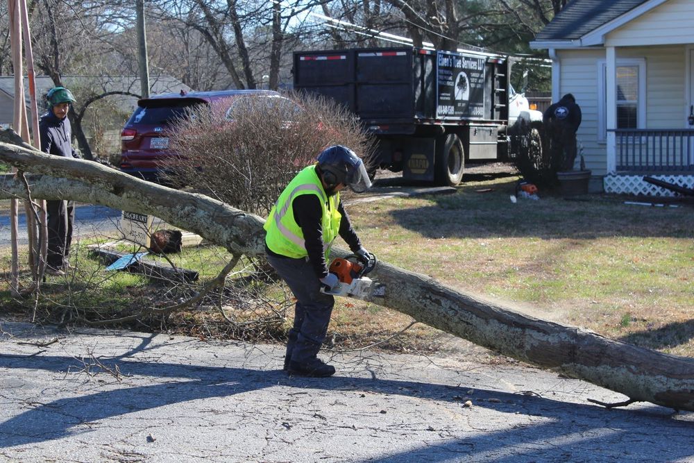 A tree service professional processes a fallen tree into manageable sections. The ground crew ensures the driveway is cleared efficiently following a removal, with specialized equipment and trucks on-site.